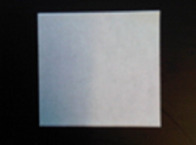 Labels 29x28 Blitz